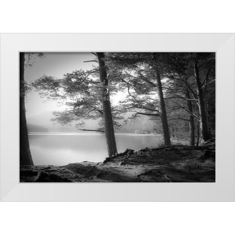 Loch an Eilein White Modern Wood Framed Art Print by Fuhg, Dorit