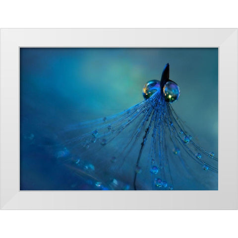 Dancing into the blue night White Modern Wood Framed Art Print by Westum, Heidi