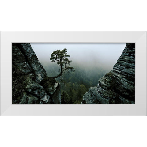 L White Modern Wood Framed Art Print by Schott, Andreas