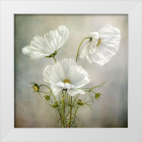 Cosmos Charm White Modern Wood Framed Art Print by Disher, Mandy