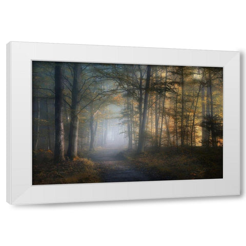 autumn symphony White Modern Wood Framed Art Print by Maier, Norbert
