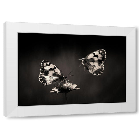 Medioluto norteAÂ±a White Modern Wood Framed Art Print by Hoffman, Jimmy