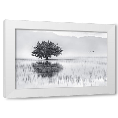 Spring Mirror White Modern Wood Framed Art Print by Kaimaki, Maria