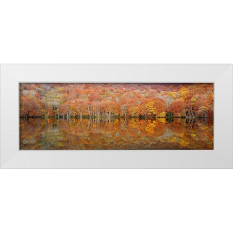 glowing autumn White Modern Wood Framed Art Print by Shibata, Sho
