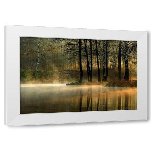 Silent light. White Modern Wood Framed Art Print by Jankowska, Agnieszka