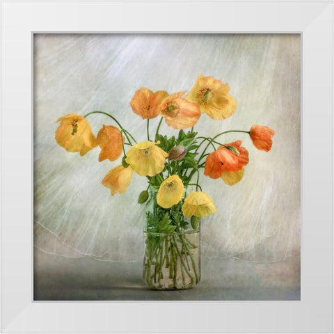 In the window White Modern Wood Framed Art Print by Disher, Mandy