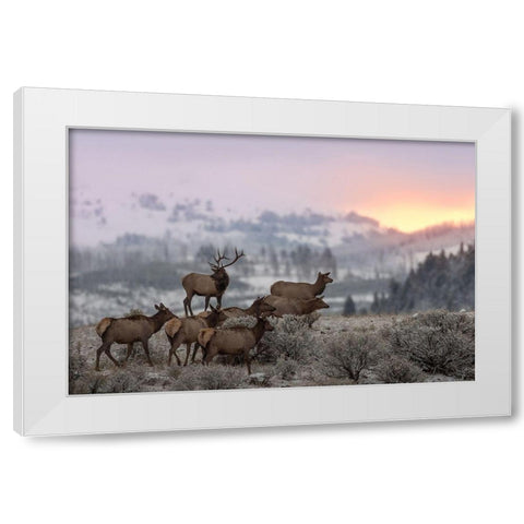 First Light White Modern Wood Framed Art Print by Kalathas, Nick