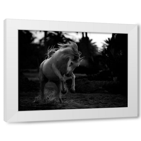 Boast White Modern Wood Framed Art Print by Al-Saeed, Abdullah