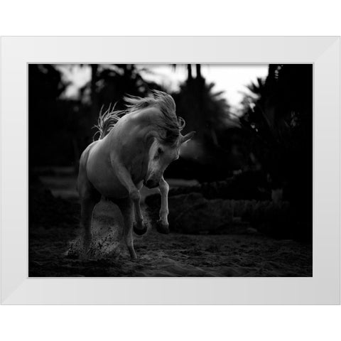 Boast White Modern Wood Framed Art Print by Al-Saeed, Abdullah