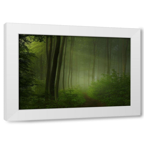 forest morning White Modern Wood Framed Art Print by Maier, Norbert