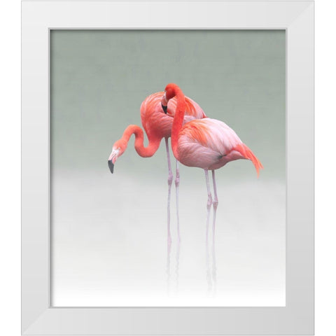 just we two White Modern Wood Framed Art Print by Cseresnjes, Anna