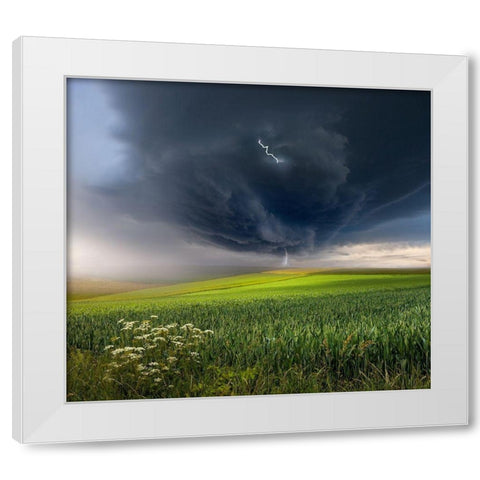 June storm White Modern Wood Framed Art Print by Schumacher, Nicolas