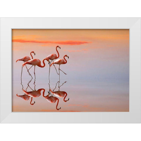 flamingos family White Modern Wood Framed Art Print by Cseresnjes, Anna
