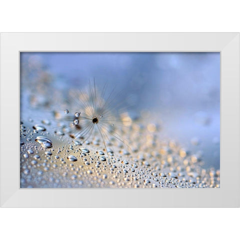 Crawling down White Modern Wood Framed Art Print by Westum, Heidi