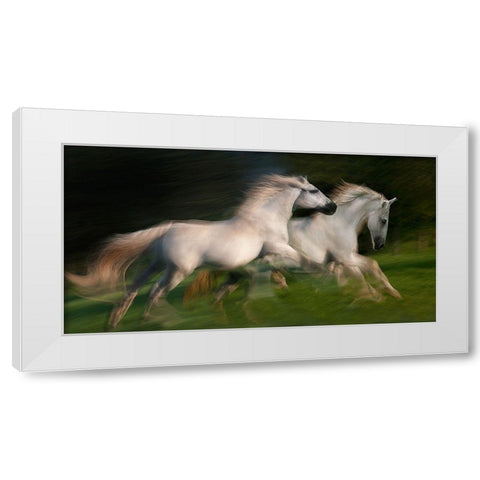 gallop for two White Modern Wood Framed Art Print by Malovrh, Milan