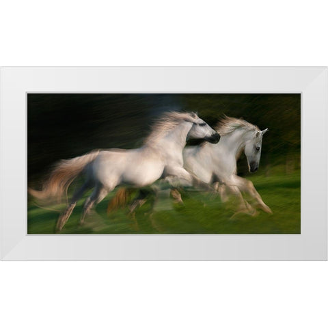 gallop for two White Modern Wood Framed Art Print by Malovrh, Milan