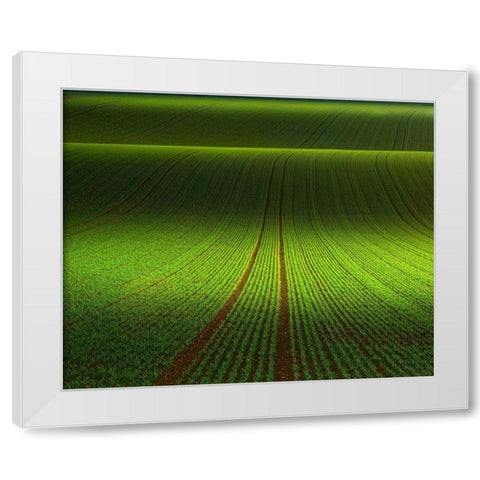 November Green White Modern Wood Framed Art Print by Schumacher, Nicolas