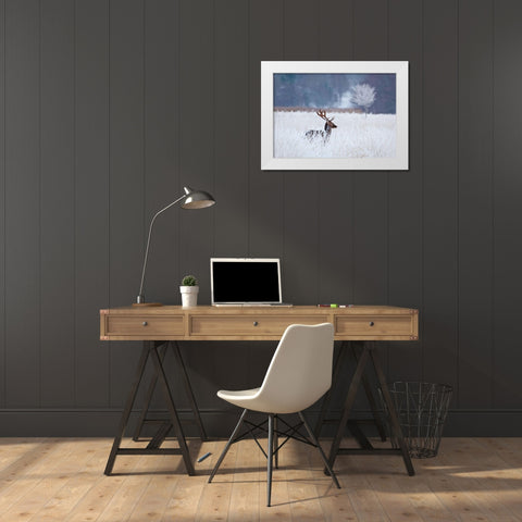 Fallow deer in the frozen winter landscape White Modern Wood Framed Art Print by Wallberg, Allan