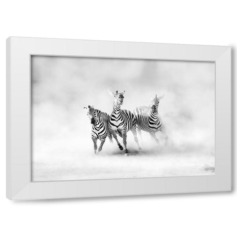 ZEBRAS White Modern Wood Framed Art Print by Luis Duran, Juan