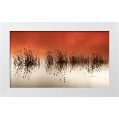 serenity White Modern Wood Framed Art Print by David, Rui