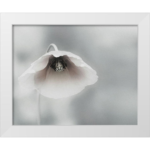 Ephemeral Beauty White Modern Wood Framed Art Print by Flour, Piet
