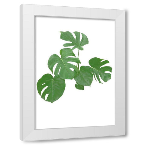 Monstera Green 04 White Modern Wood Framed Art Print by Artographie Studio