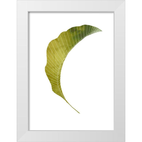 Banana Leaf White Modern Wood Framed Art Print by Artographie Studio