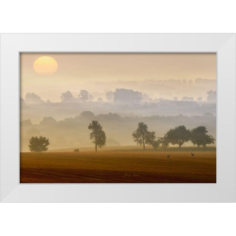 Morning View White Modern Wood Framed Art Print by Krol (Bax), Piotr