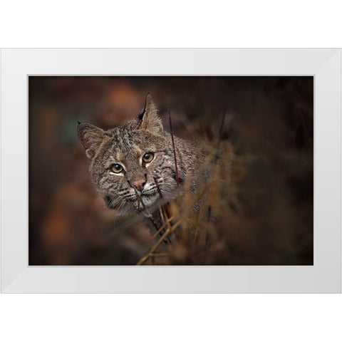 These Eyes White Modern Wood Framed Art Print by Kalathas, Nick