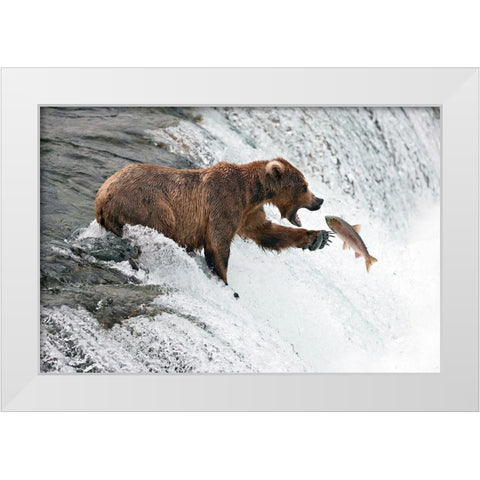 Unlucky  Jump White Modern Wood Framed Art Print by Stahl, Peter