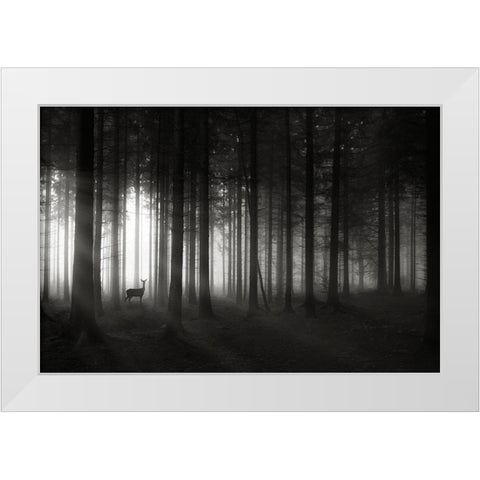 Deer`s Morning White Modern Wood Framed Art Print by Hessel, Christoph