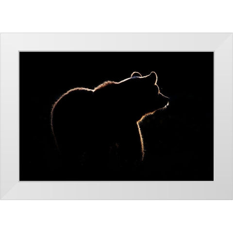 Highlight White Modern Wood Framed Art Print by Golob, Gorazd