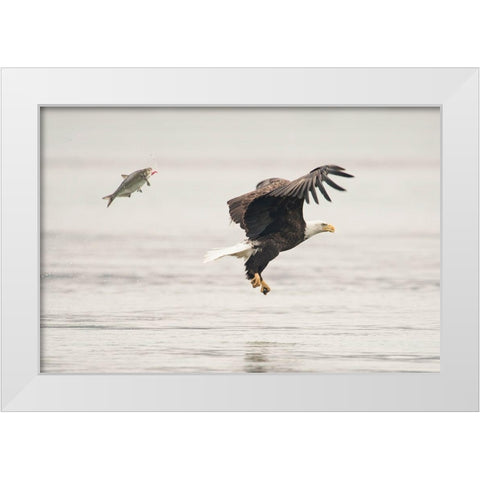 Flying Together White Modern Wood Framed Art Print by Tang, Wei