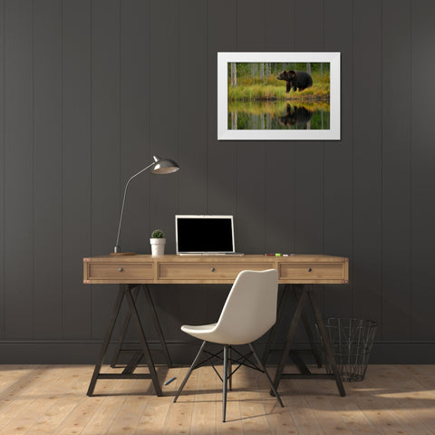 Bear and fish White Modern Wood Framed Art Print by Gavra, Assaf