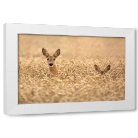Mother with child White Modern Wood Framed Art Print by Wallberg, Allan