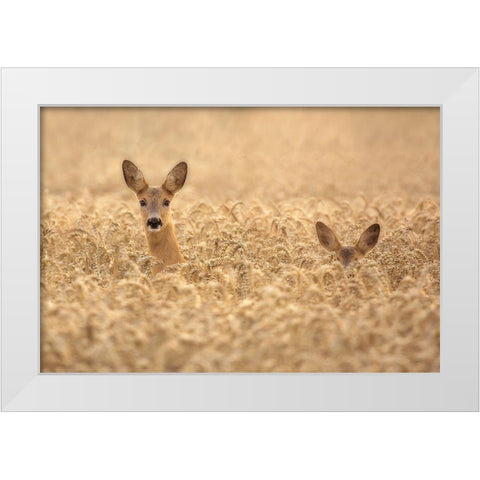 Mother with child White Modern Wood Framed Art Print by Wallberg, Allan