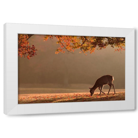 First Autumn White Modern Wood Framed Art Print by Matsui, Yoshinori