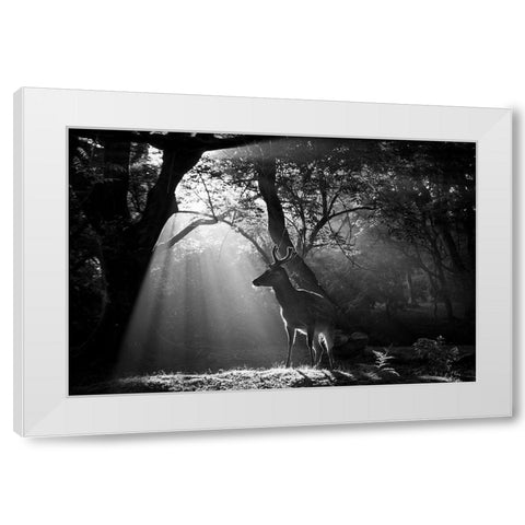 Light and Deer White Modern Wood Framed Art Print by Matsui, Yoshinori