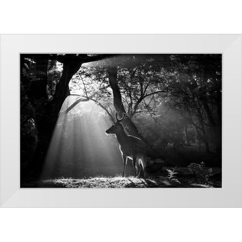 Light and Deer White Modern Wood Framed Art Print by Matsui, Yoshinori