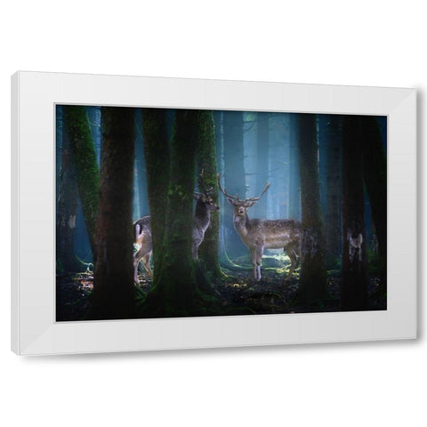 Deers White Modern Wood Framed Art Print by Aurednik, Patrick