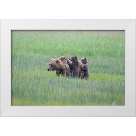 Vigilance #2 White Modern Wood Framed Art Print by Sink, Jeffrey C