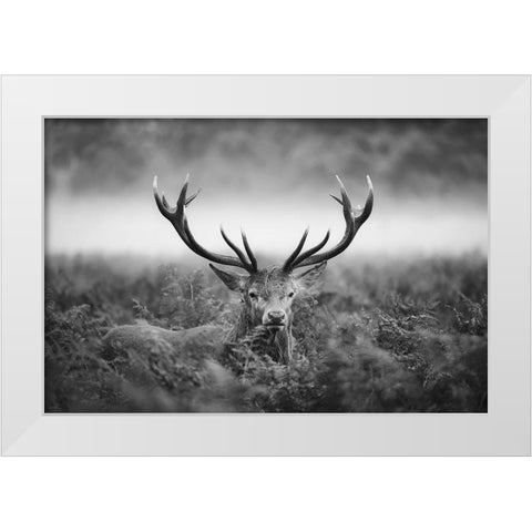 Majestic White Modern Wood Framed Art Print by Fabrowski, Robert