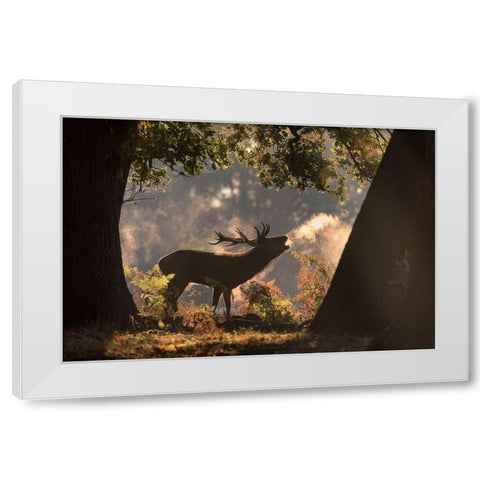He Waits in the Shadows White Modern Wood Framed Art Print by Saberi, Alex