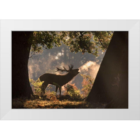 He Waits in the Shadows White Modern Wood Framed Art Print by Saberi, Alex