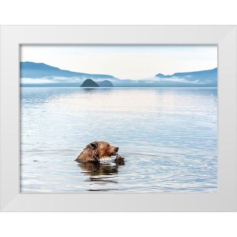 Kurile Lake White Modern Wood Framed Art Print by DAmico, Giuseppe