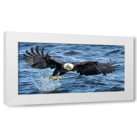 King of Mississippi White Modern Wood Framed Art Print by Fan, John