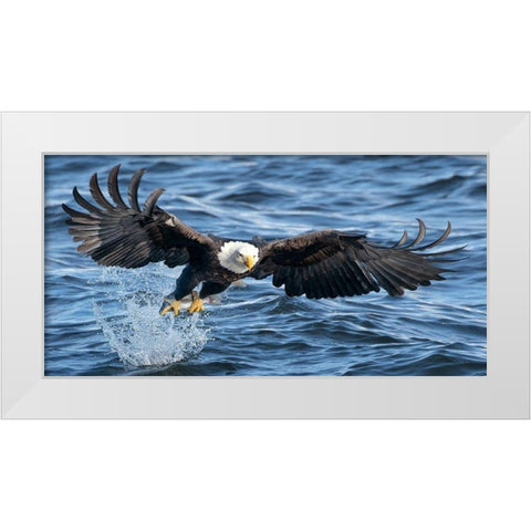 King of Mississippi White Modern Wood Framed Art Print by Fan, John