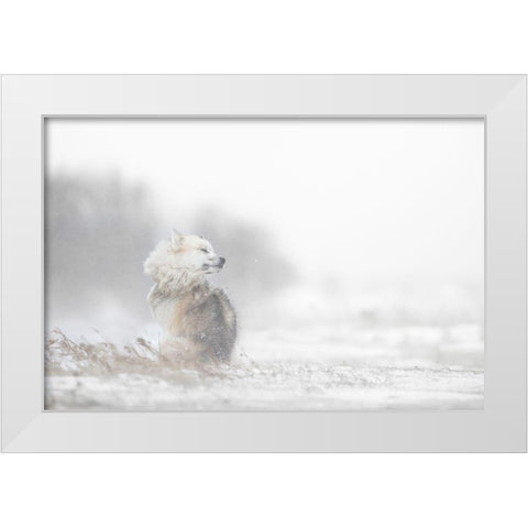 Hard times White Modern Wood Framed Art Print by Pozzi, Marco