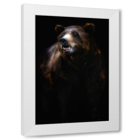 Brown bear portrait White Modern Wood Framed Art Print by Pascual Buye, Santiago