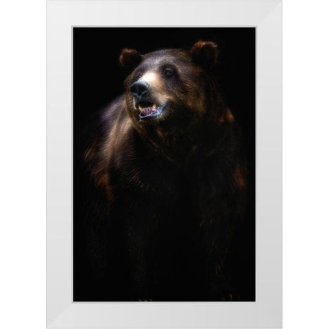 Brown bear portrait White Modern Wood Framed Art Print by Pascual Buye, Santiago